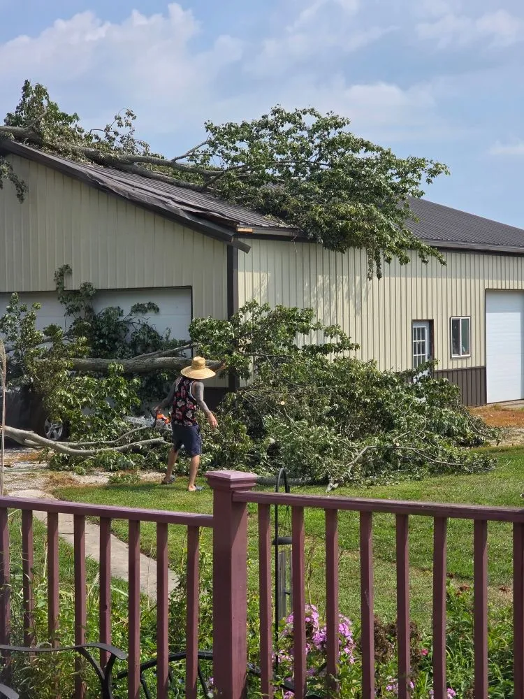 Reliable yard maintenance for outdoor upgrades across Stockwell, IN - Allen Services