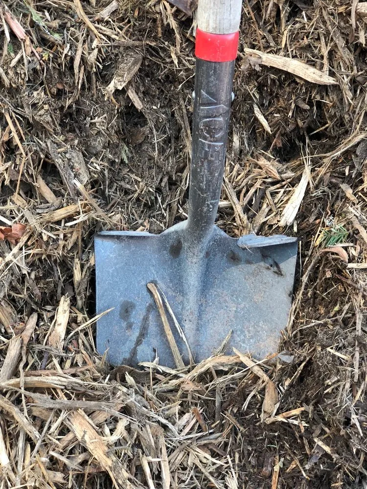 Expert lawn mowing service for residential properties across Belfair, WA - Allen Shearer Trucking and Landscape Supply Inc.