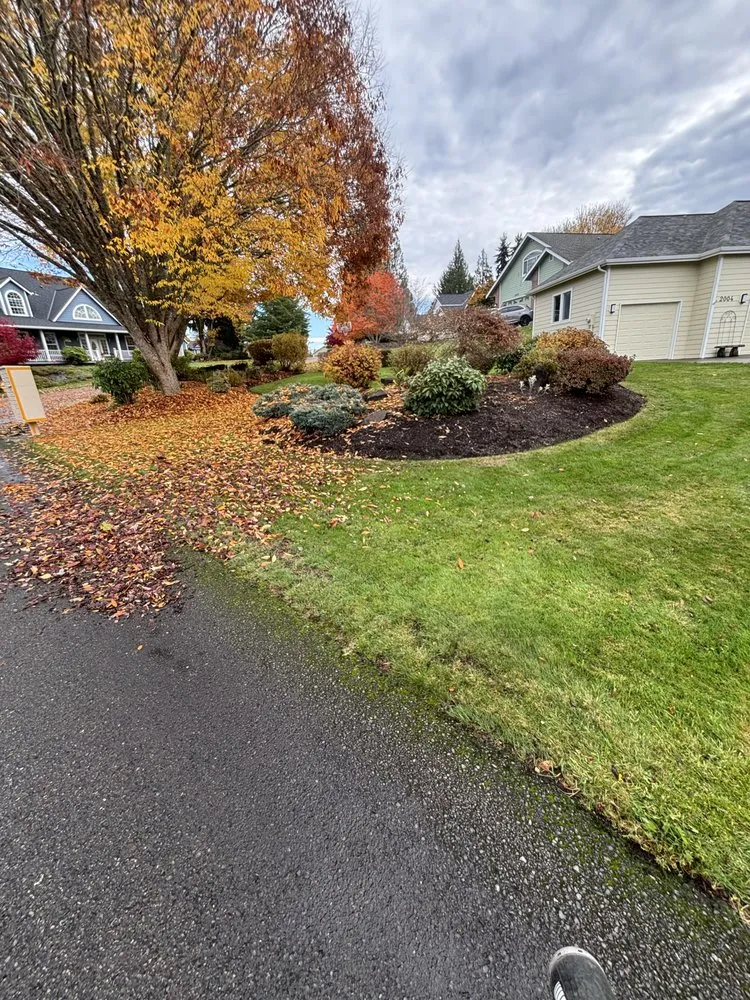 Local landscape installation for beautiful yards across Centralia, WA - Allende’s Landscaping Services
