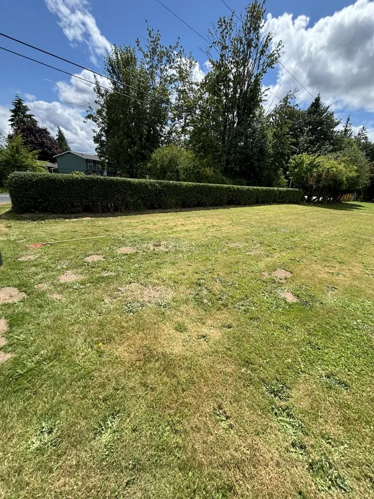 Expert outdoor landscaping in Centralia, WA by Allende’s Landscaping Services