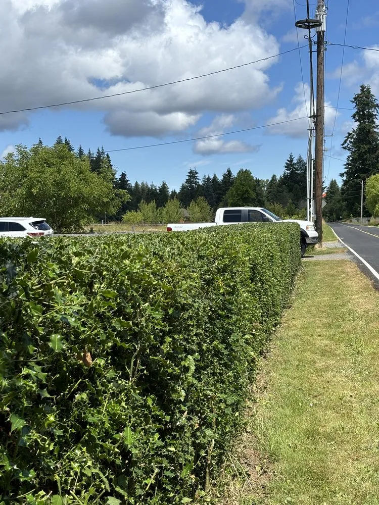 Reliable garden landscaping experts serving Centralia, WA - Allende’s Landscaping Services