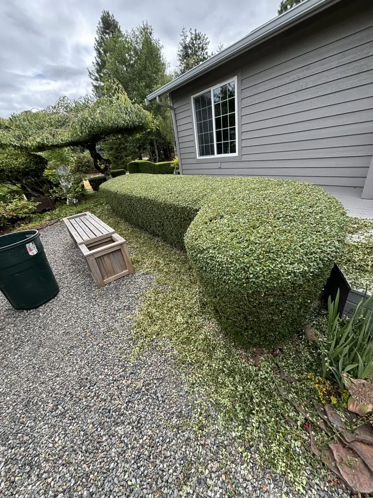 Professional residential landscaping for homes across Centralia, WA - Allende’s Landscaping Services