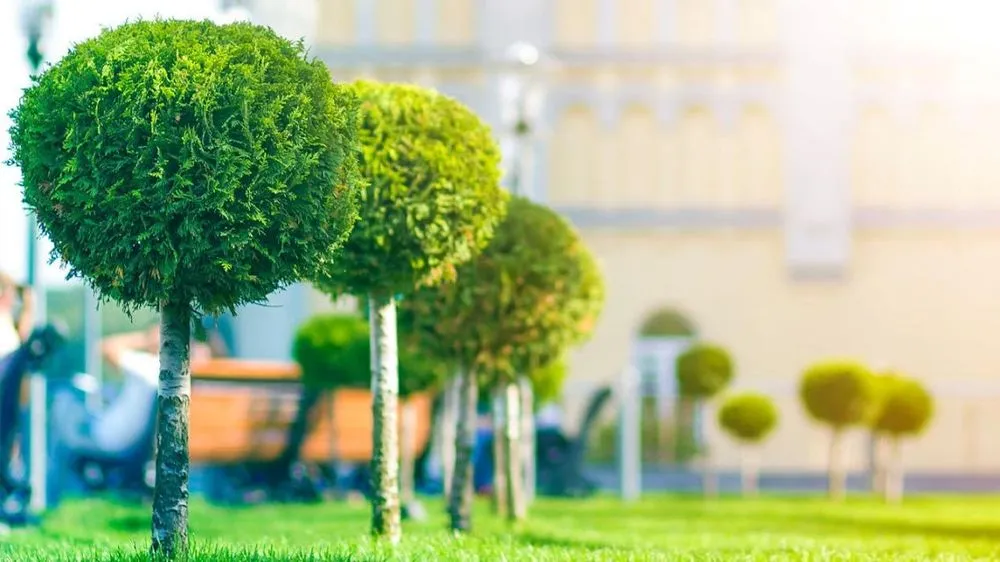 Expert garden landscaping for residential properties in Pasco, WA by Allende's Lawn Care & Landscaping