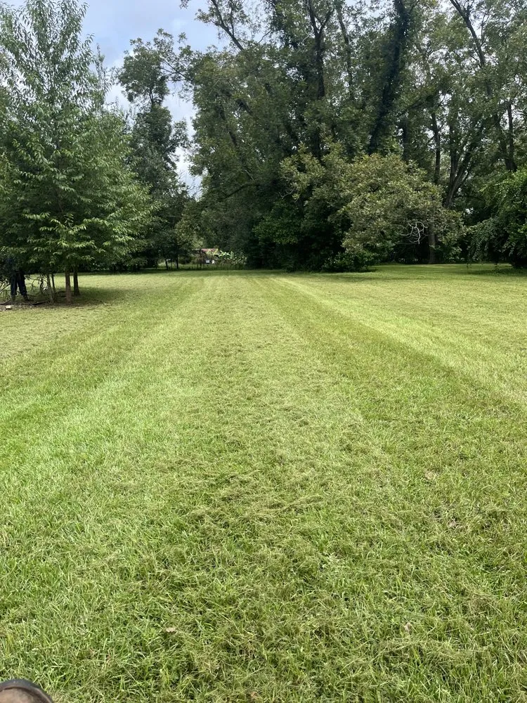 Local landscape design in Albany, GA by Allen’s Landscaping & More