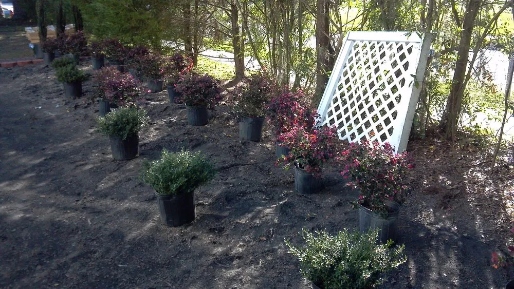 Reliable landscape installation in Orangeburg, SC - Allen's Landscaping