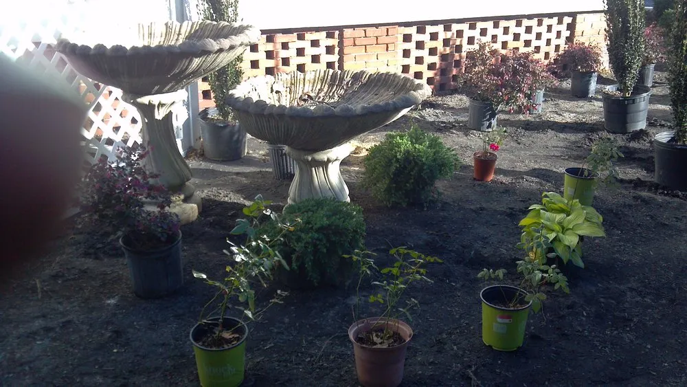 Affordable yard cleanup service in Orangeburg, SC - Allen's Landscaping