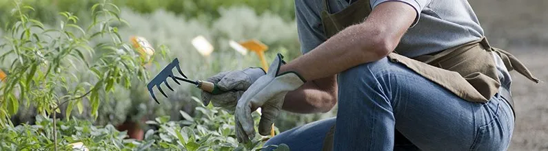 Local residential landscaping for outdoor upgrades across Orangeburg, SC - Allen's Landscaping