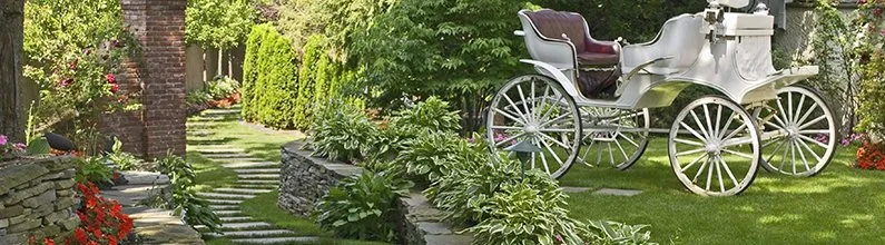 Top-rated landscaping services in Orangeburg, SC by Allen's Landscaping