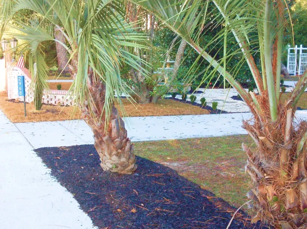 Local lawn mowing service for beautiful yards across Orangeburg, SC - Allen's Landscaping