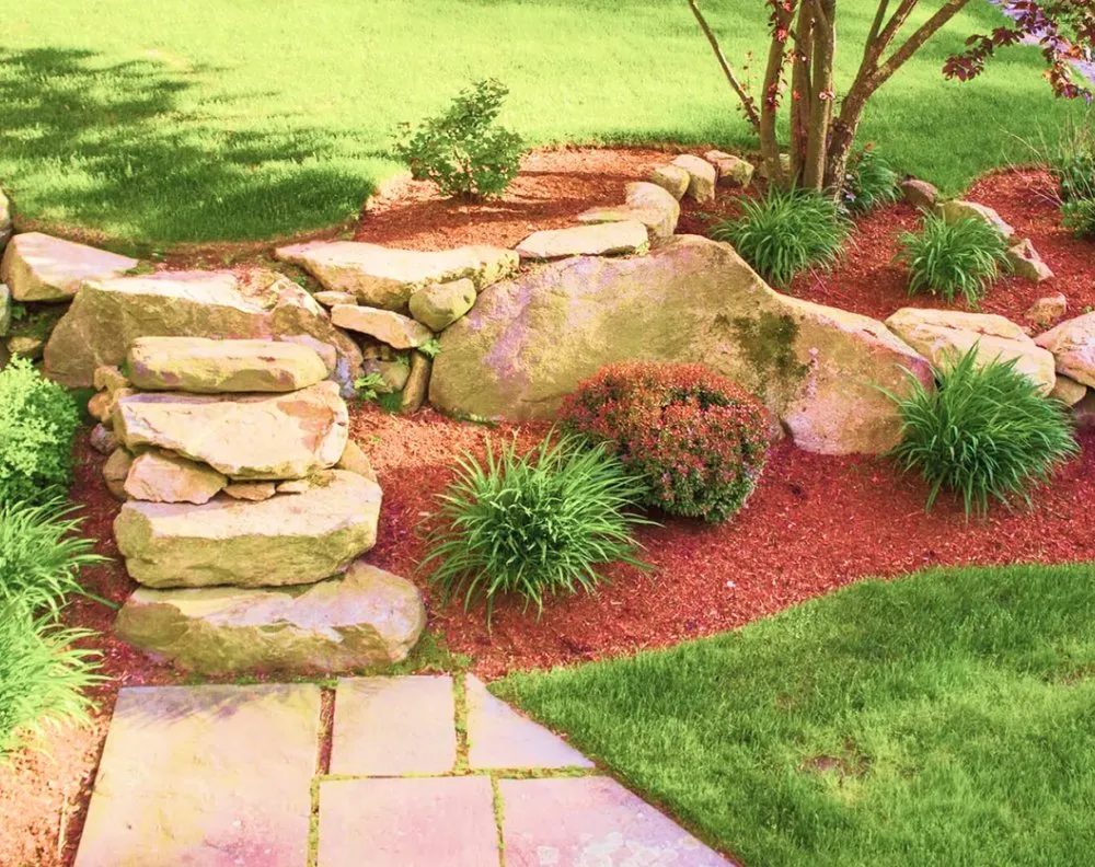 Expert yard cleanup service in Orangeburg, SC by Allen's Landscaping