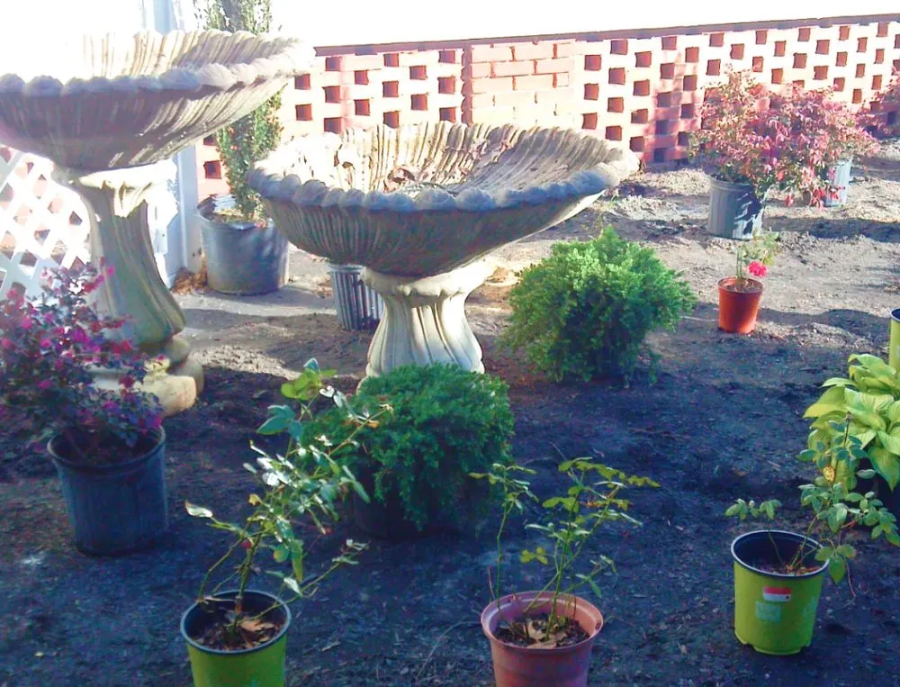 Top-rated garden landscaping for year-round maintenance across Orangeburg, SC - Allen's Landscaping