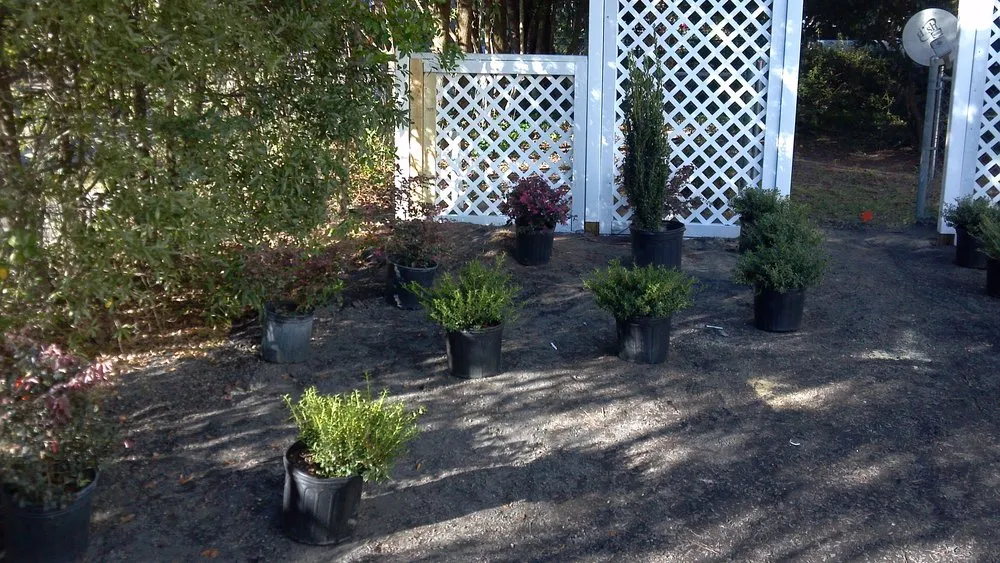 Custom lawn mowing service in Orangeburg, SC by Allen's Landscaping