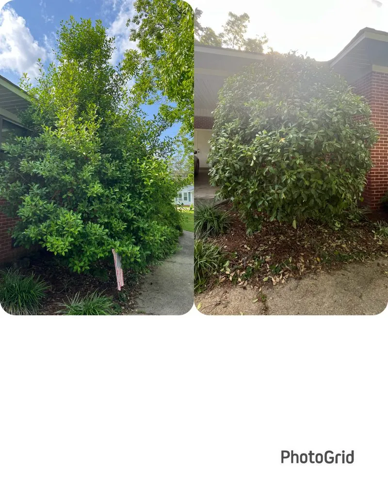 Local landscape installation in Frisco City, AL by Allen’s Landscaping Services