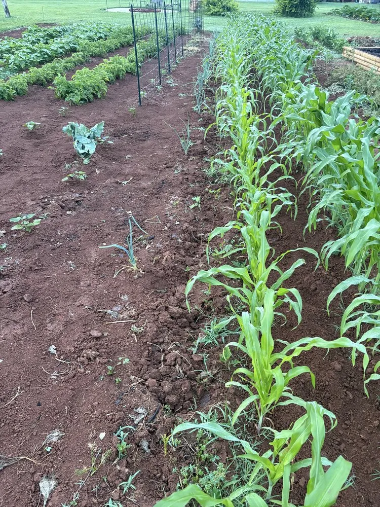 Professional outdoor landscaping in Statesville, NC - Allen’s Lawn & Garden