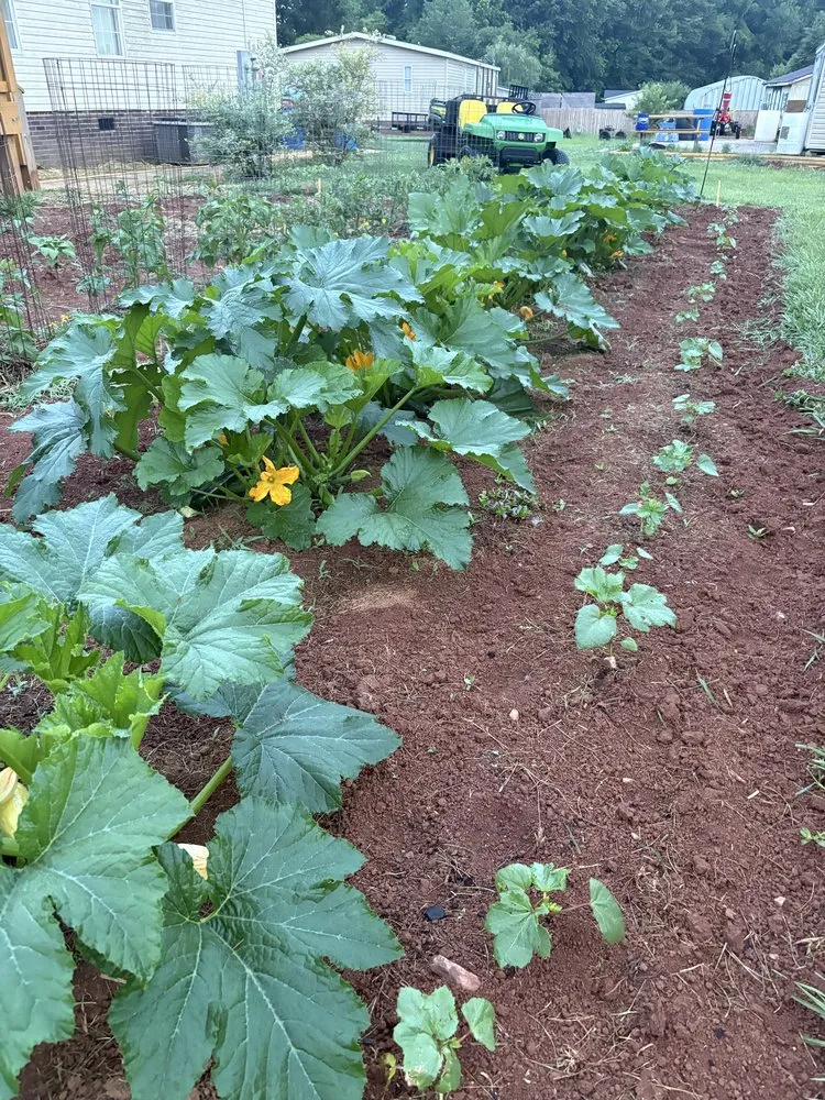 Custom landscaping services in Statesville, NC by Allen’s Lawn & Garden