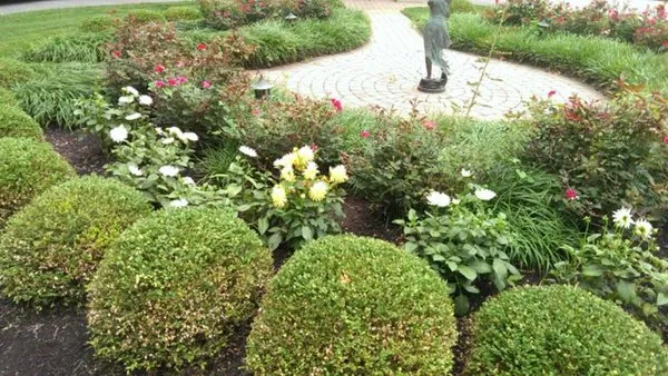 Allen's Lawn & Landscaping Logo