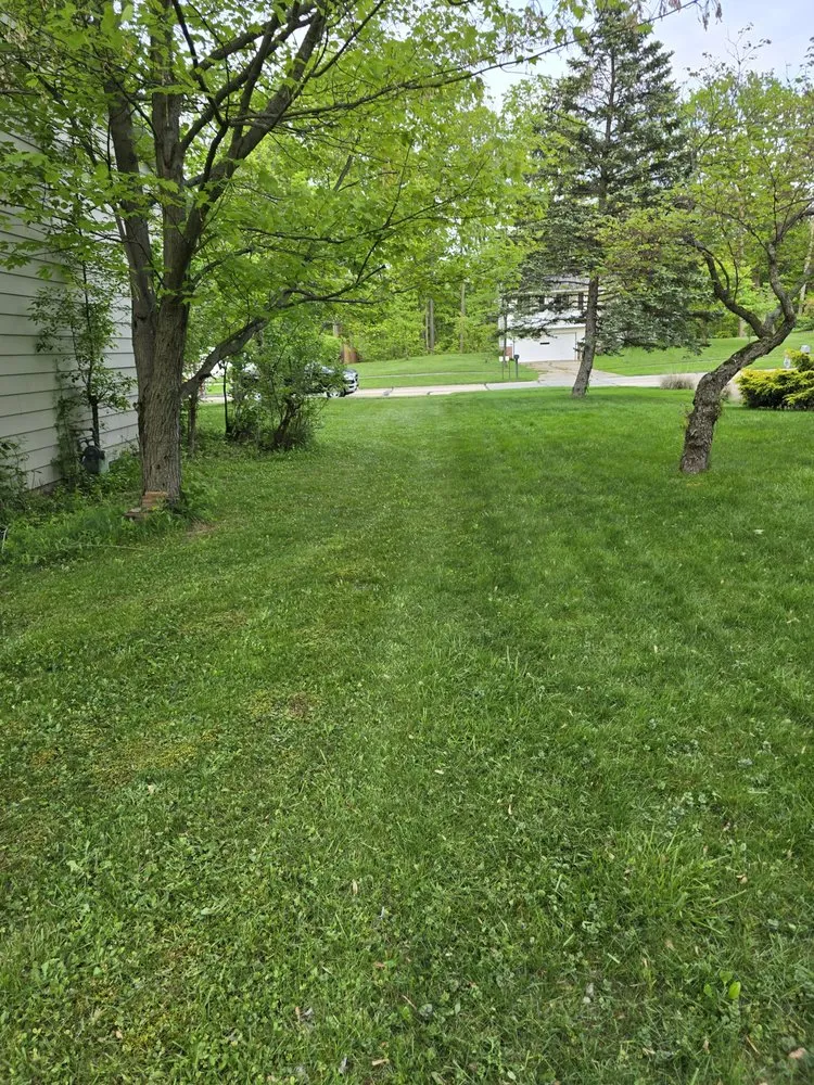 Top-rated yard maintenance in Madison, OH by Allen's Lawn Care