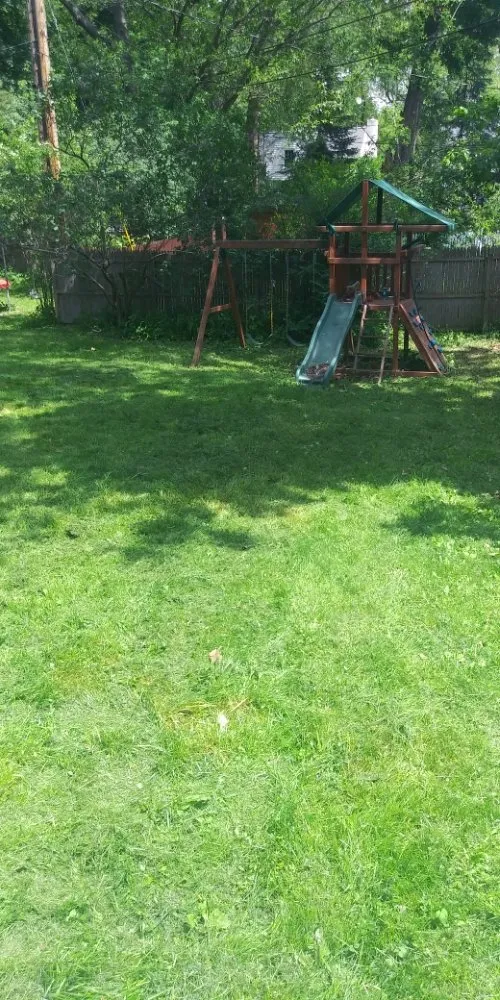 Professional landscaping services for year-round maintenance across Schenectady, NY - Allen's lawn care