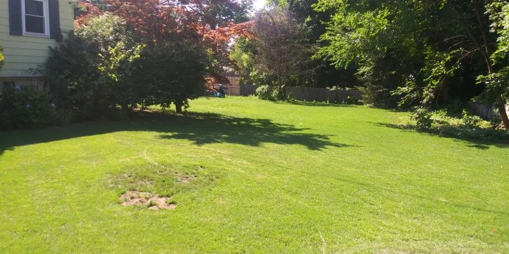 Professional lawn care service in Schenectady, NY by Allen's lawn care