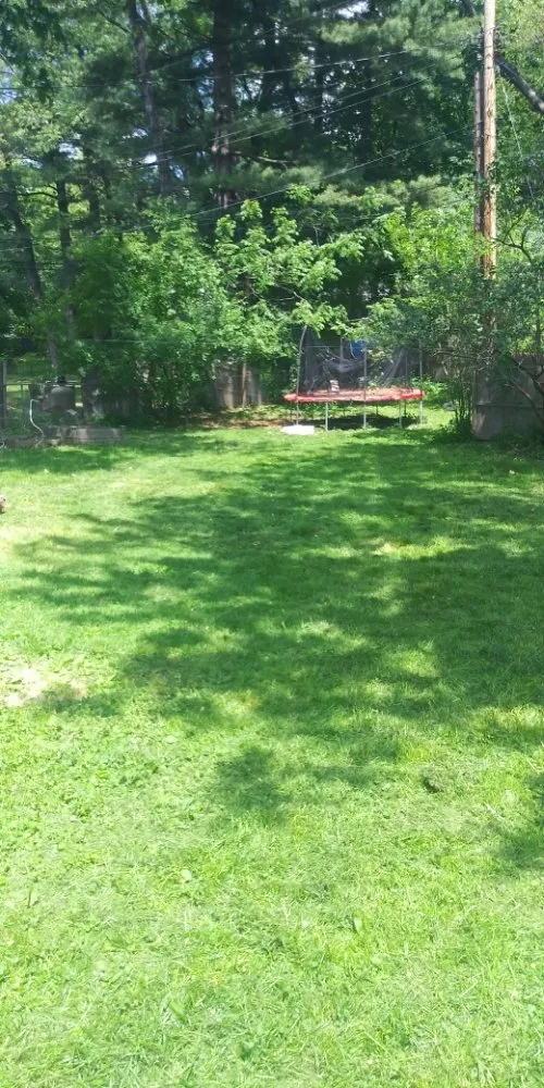 Top-rated landscape installation for outdoor upgrades across Schenectady, NY - Allen's lawn care