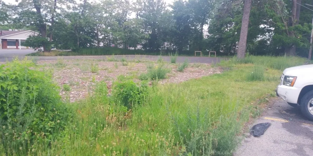 Top-rated yard cleanup service near you in Schenectady, NY by Allen's lawn care