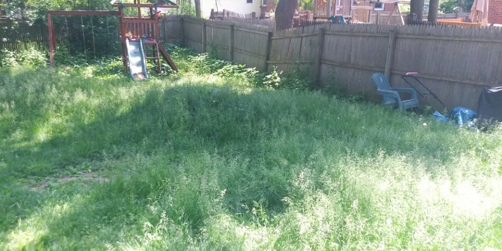 Expert landscaping services in Schenectady, NY by Allen's lawn care