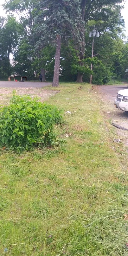 Affordable yard cleanup service in Schenectady, NY - Allen's lawn care