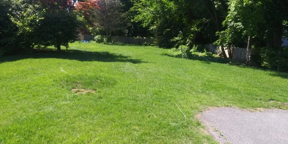 Reliable landscaping services in Schenectady, NY - Allen's lawn care