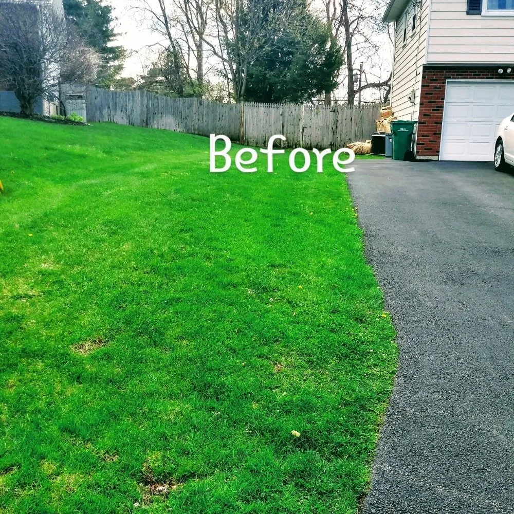 Expert lawn care service for year-round maintenance in Schenectady, NY by Allen's lawn care