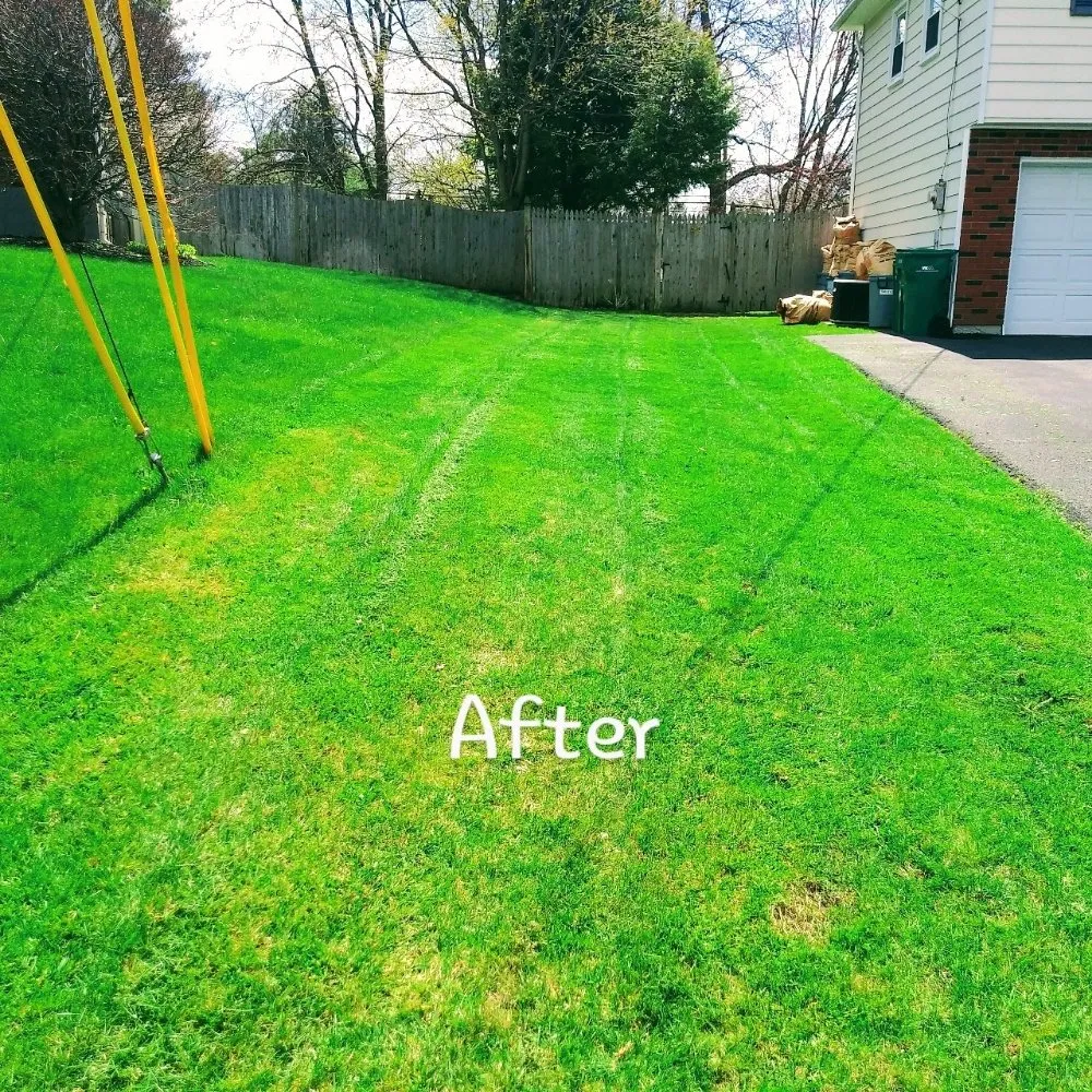 Trusted residential landscaping for homes in Schenectady, NY by Allen's lawn care