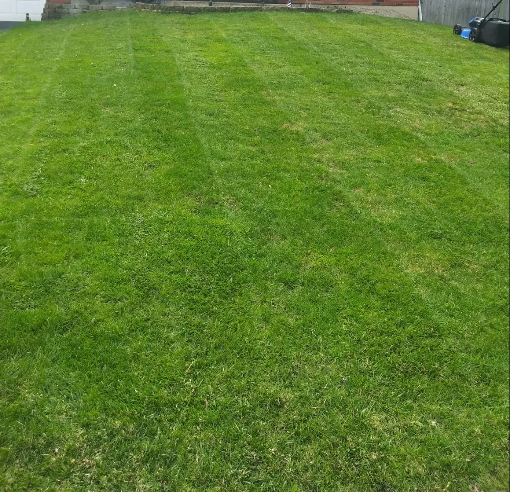 Affordable residential landscaping for outdoor upgrades in Schenectady, NY by Allen's lawn care