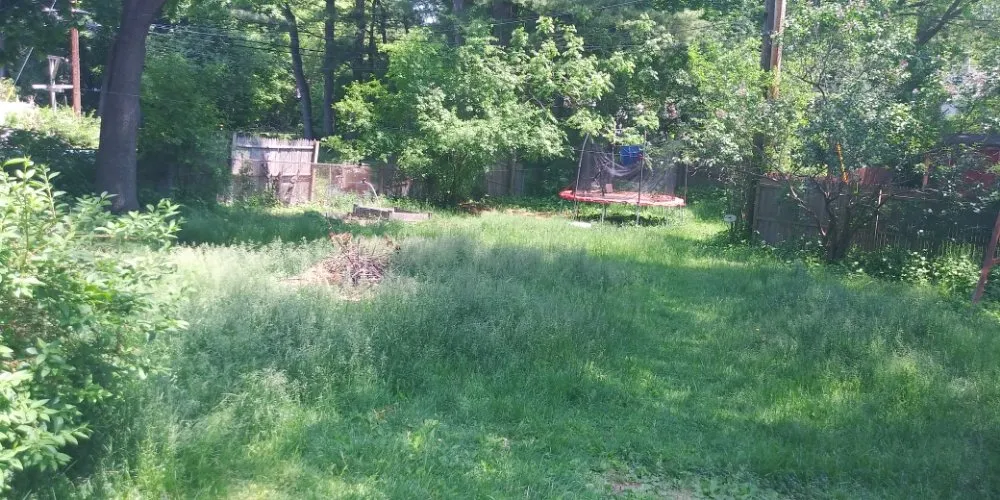 Top-rated lawn care service in Schenectady, NY - Allen's lawn care