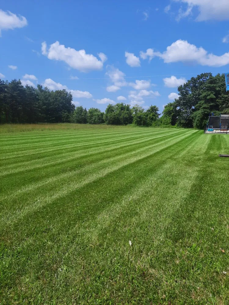 Affordable yard cleanup service in Kimball, MI by Allen's Lawn Maintenance