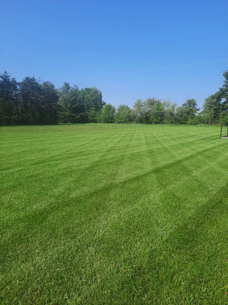 Reliable lawn mowing service experts serving Kimball, MI - Allen's Lawn Maintenance
