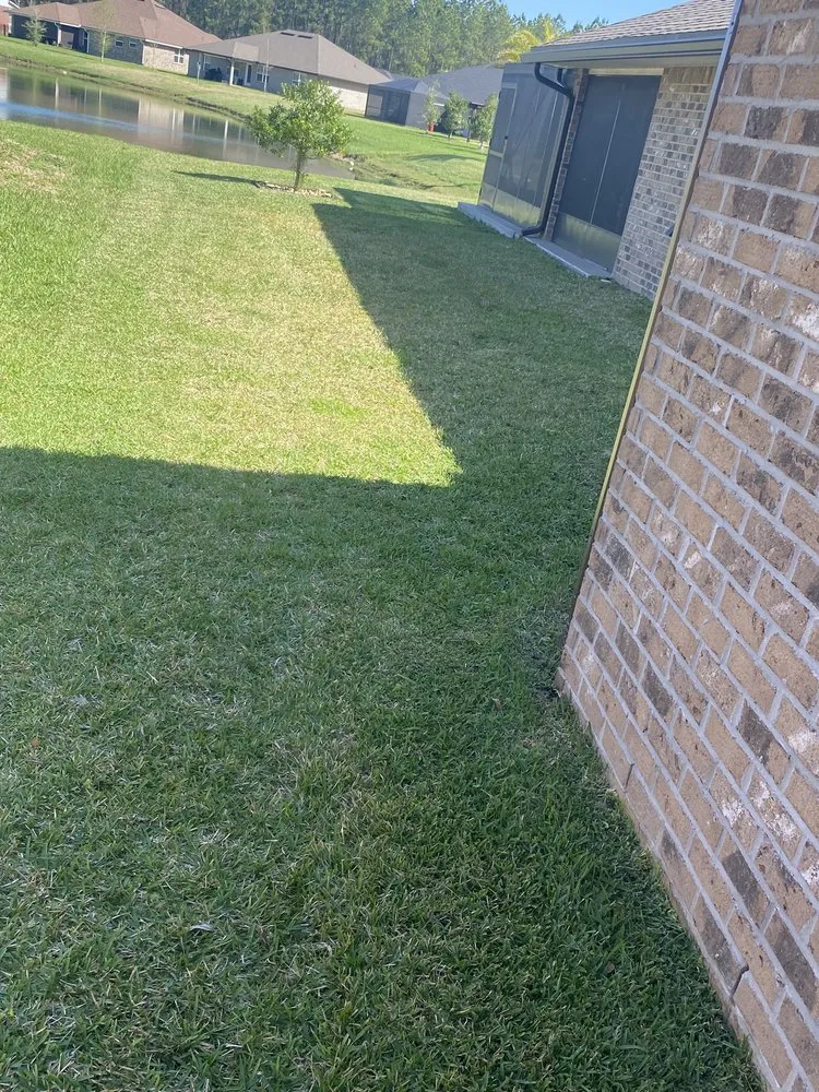 Affordable yard cleanup service in Jacksonville, FL - Allen’s Lawn Service