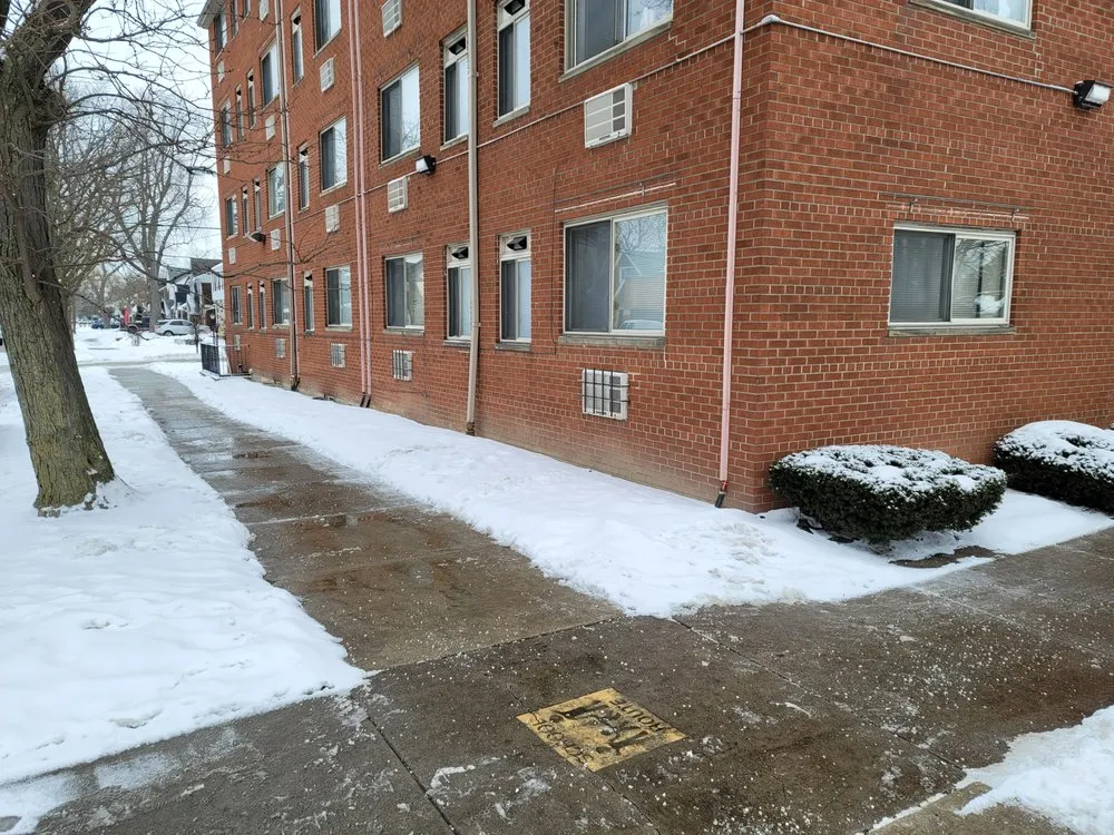 Affordable yard cleanup service experts serving Warren, MI - Allens Property Management