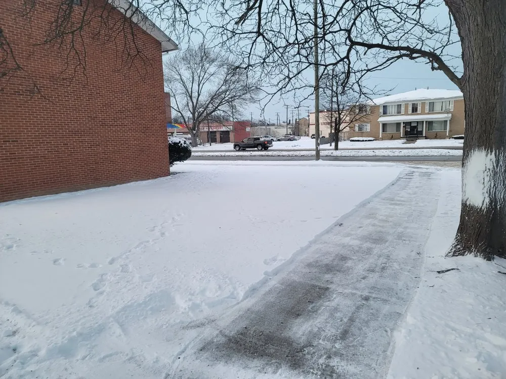 Trusted landscaping services experts serving Warren, MI - Allens Property Management