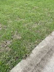 Affordable garden landscaping with custom design in Belleview, FL by Allen's Sodding Service