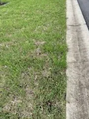 Expert garden landscaping experts serving Belleview, FL - Allen's Sodding Service