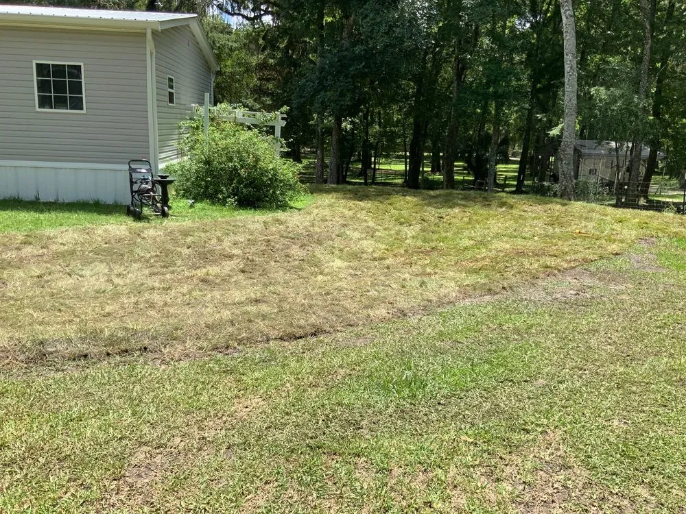 Top-rated yard cleanup service experts serving Belleview, FL - Allen's Sodding Service