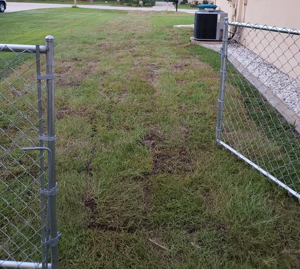 Custom landscape design experts serving Belleview, FL - Allen's Sodding Service