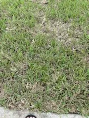 Trusted garden landscaping for beautiful yards in Belleview, FL by Allen's Sodding Service