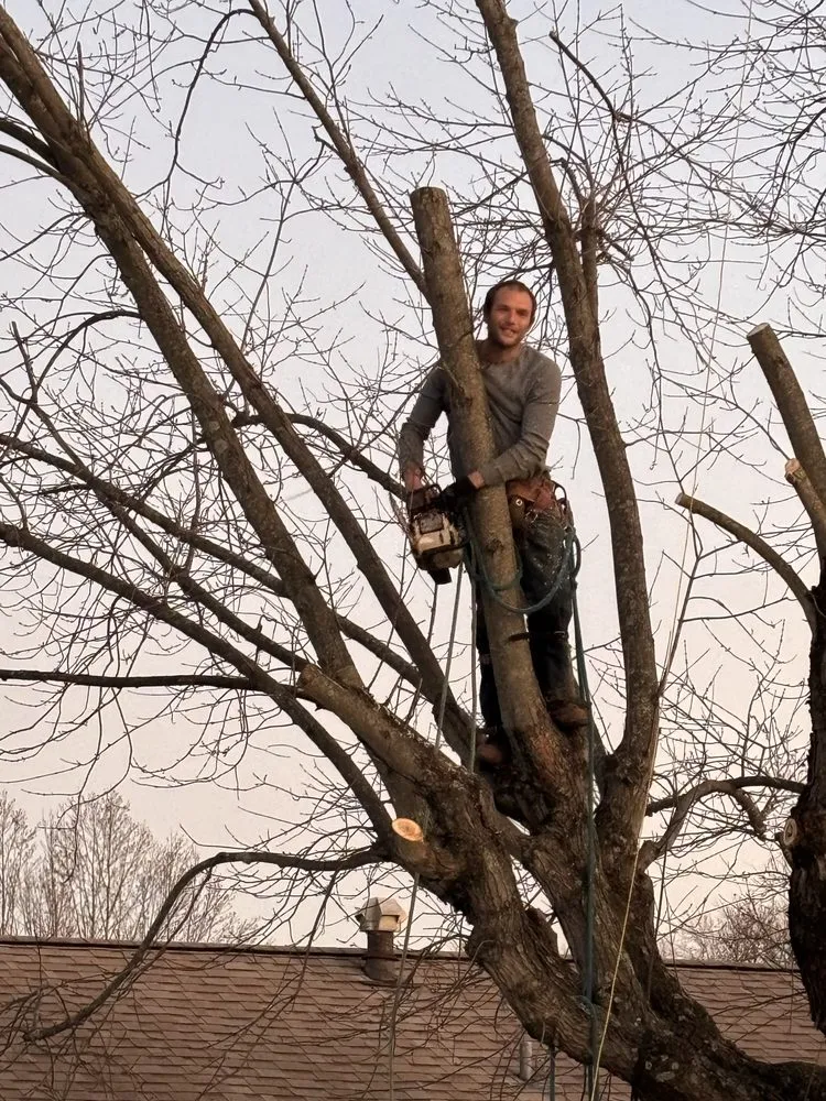 Local lawn mowing service experts serving De Soto, MO - Allens tree service