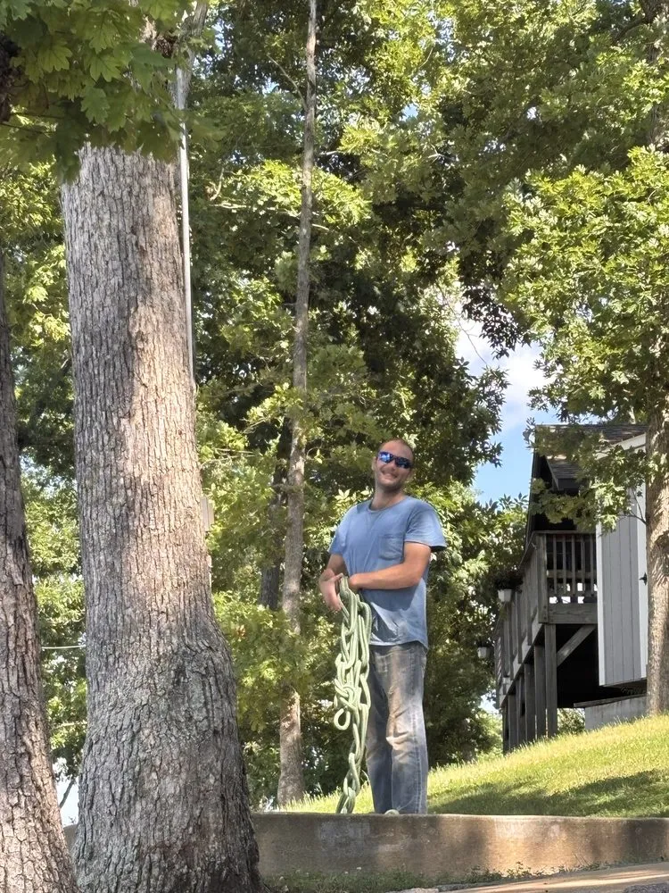 Top-rated landscape design experts serving De Soto, MO - Allens tree service