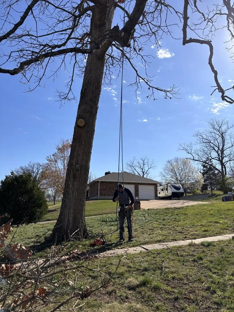 Reliable garden landscaping with custom design in De Soto, MO by Allens tree service