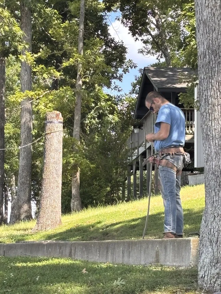 Local lawn care service experts serving De Soto, MO - Allens tree service