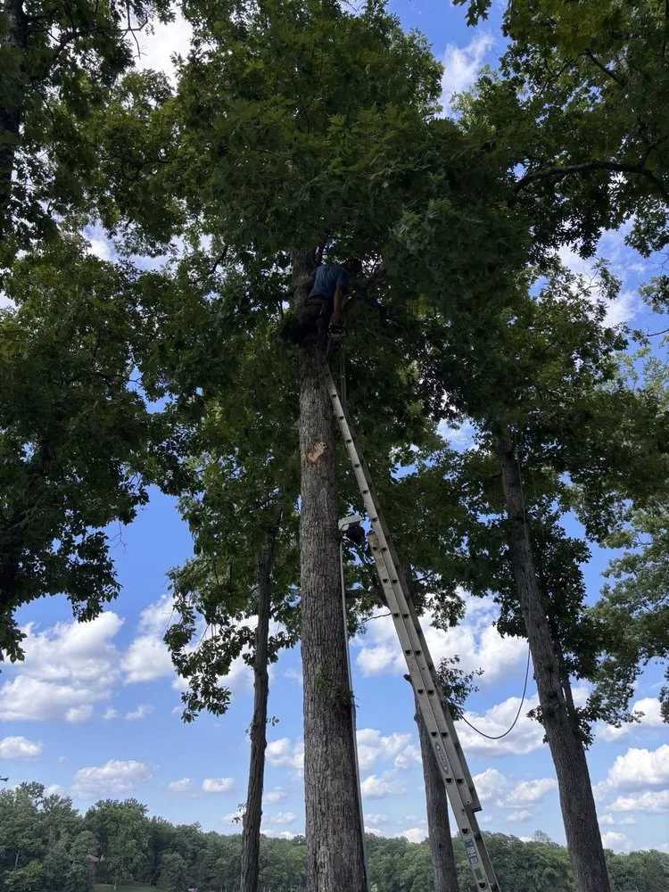 Expert garden landscaping in De Soto, MO by Allens tree service