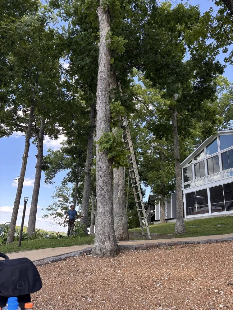 Affordable lawn mowing service experts serving De Soto, MO - Allens tree service