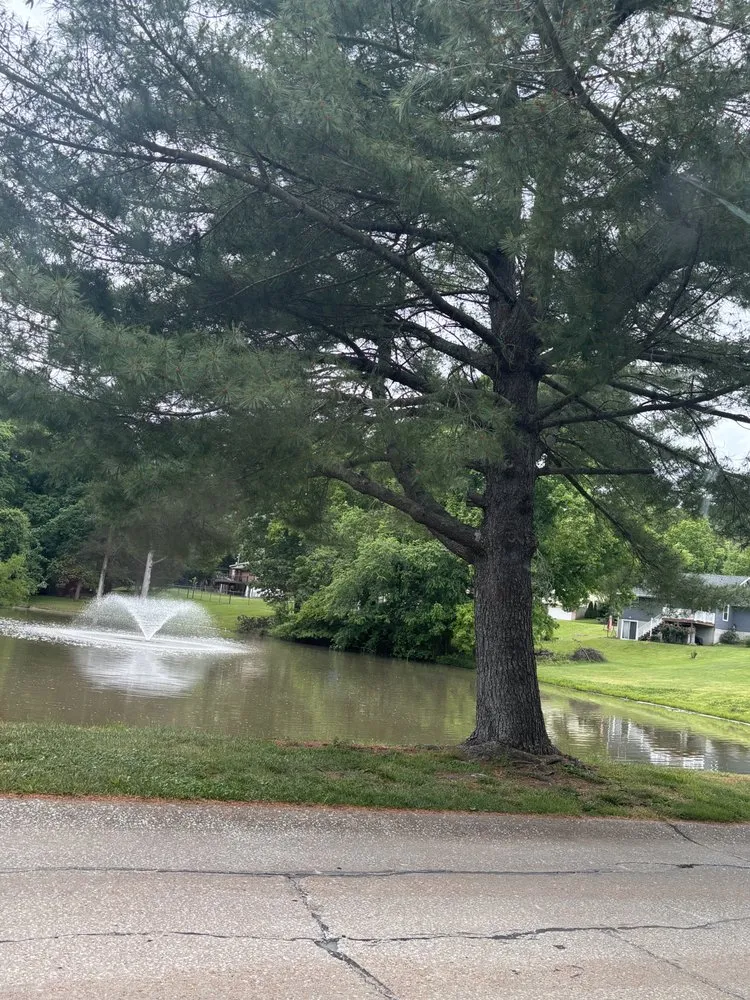 Local yard cleanup service experts serving De Soto, MO - Allens tree service