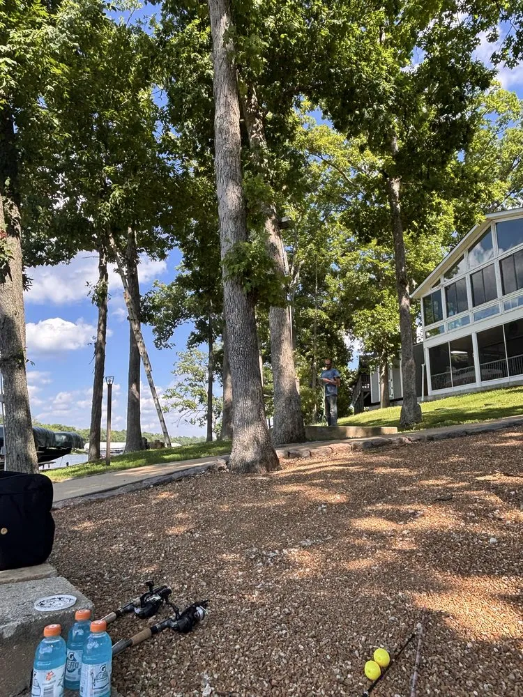 Professional landscaping services for residential properties in De Soto, MO by Allens tree service